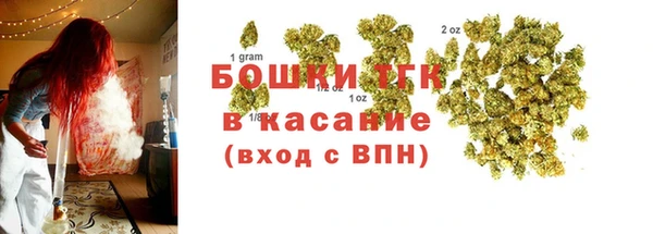 молекула духа Мегион