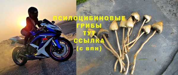 молекула духа Мегион