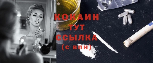 молекула духа Мегион