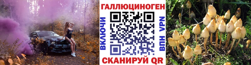 Купить  Любань  Галлюциногенные грибы GOLDEN TEACHER 